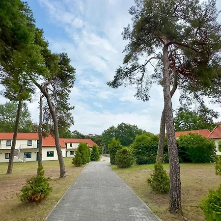 Gorgeous In With Wifi Apartment Altenkirchen (Mecklenburg-Vorpommern)
